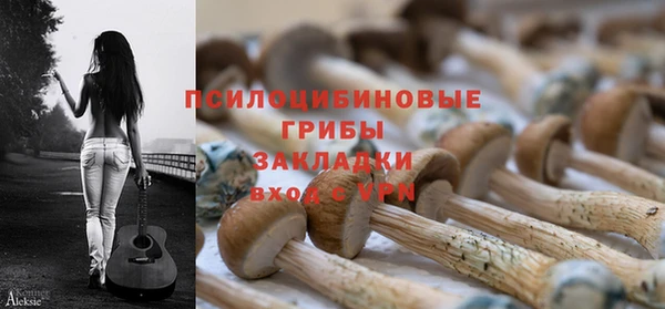 спайс Арсеньев